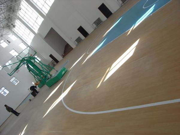卓尼縣室內籃球場